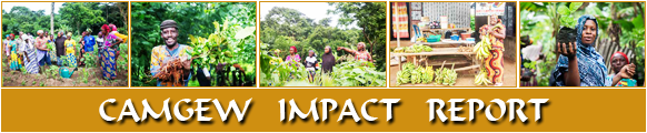 Impact Report
