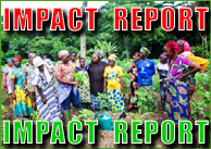 Impact Report
