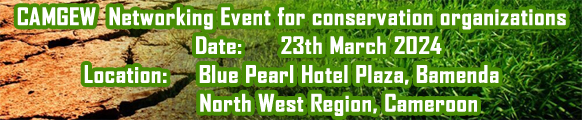 Networking Event